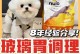 小狗为何无缘无故地拉肚子？（探究小狗突发拉肚子的原因与应对方法）
