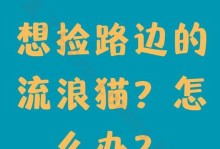 捡回来的猫需要注意什么？（关爱被拾的流浪猫，为它们创造幸福的新家）