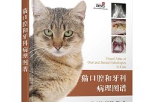 猫咪结构的常见问题（如何预防和解决猫咪结构问题）