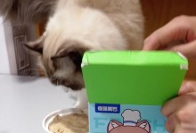 陆龟的主食是什么？（以陆龟为主食的是什么？）