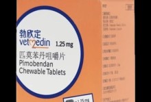 仓鼠生病急需药物，家中便药也能救命！（教你如何紧急给仓鼠治病，药物自备才能护航）