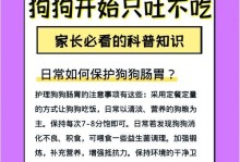 狗狗饭后多久要便便的重要性（了解狗狗便便时间的关键）
