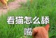 猫咪每天舔毛的时间到底有多长？（揭秘猫咪为何如此爱舔毛的原因及影响因素）